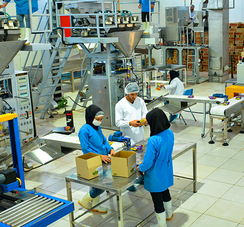 varol factory production line