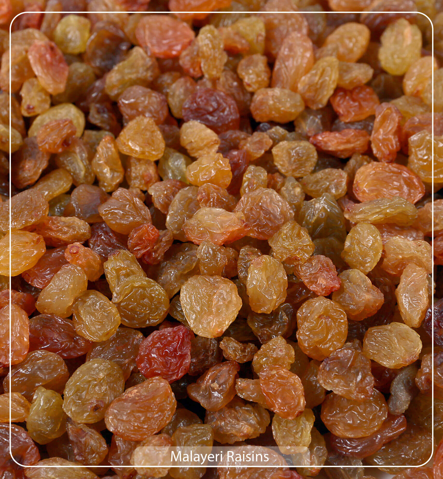 Malayeri Raisins