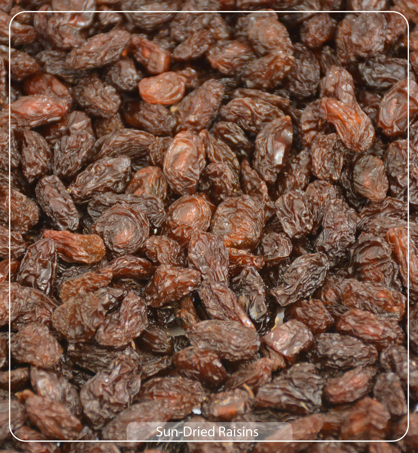 Sun-Dried Raisins